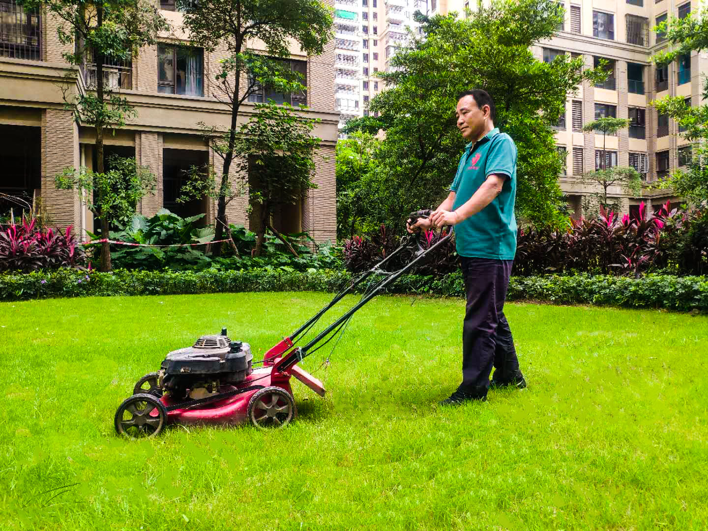 工厂绿化养护中草坪在缓长阶段的治理