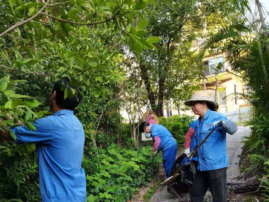 小区绿化养护整理垃圾