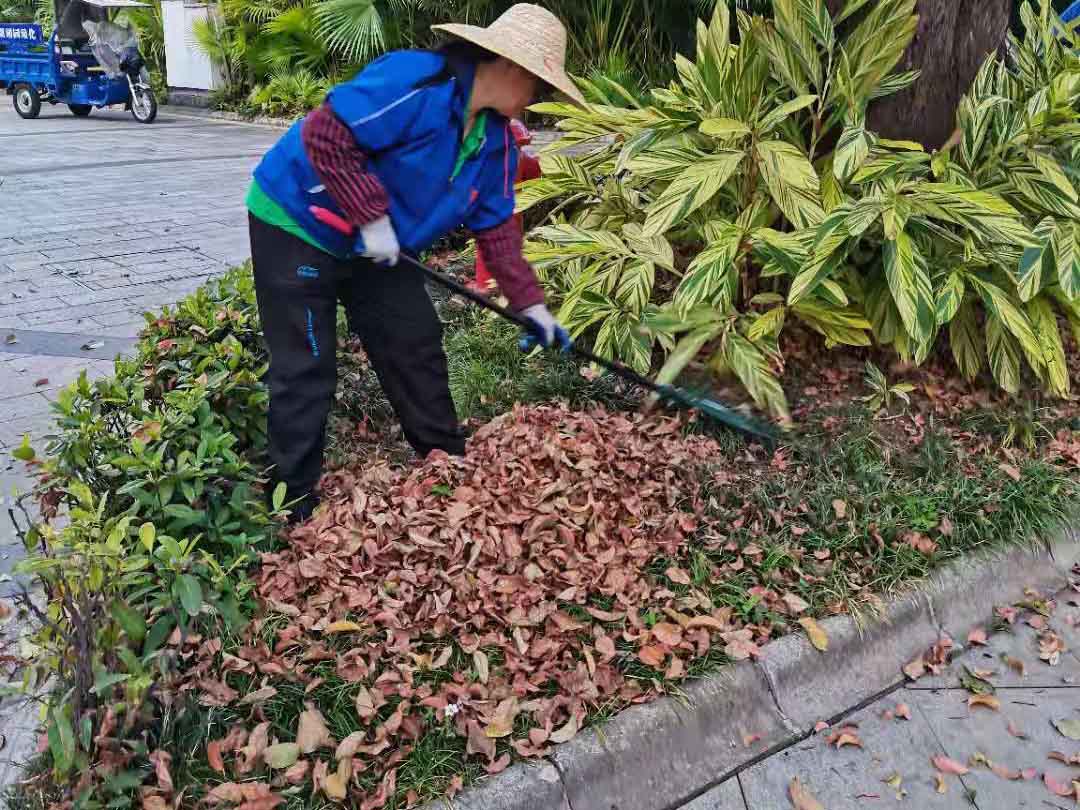 绿化公司工人整理绿化垃圾