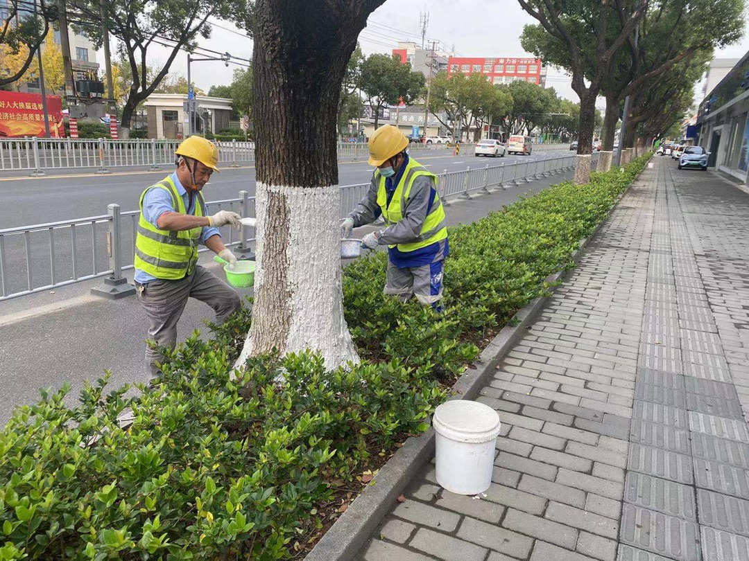 冬季绿化养护防寒步伐