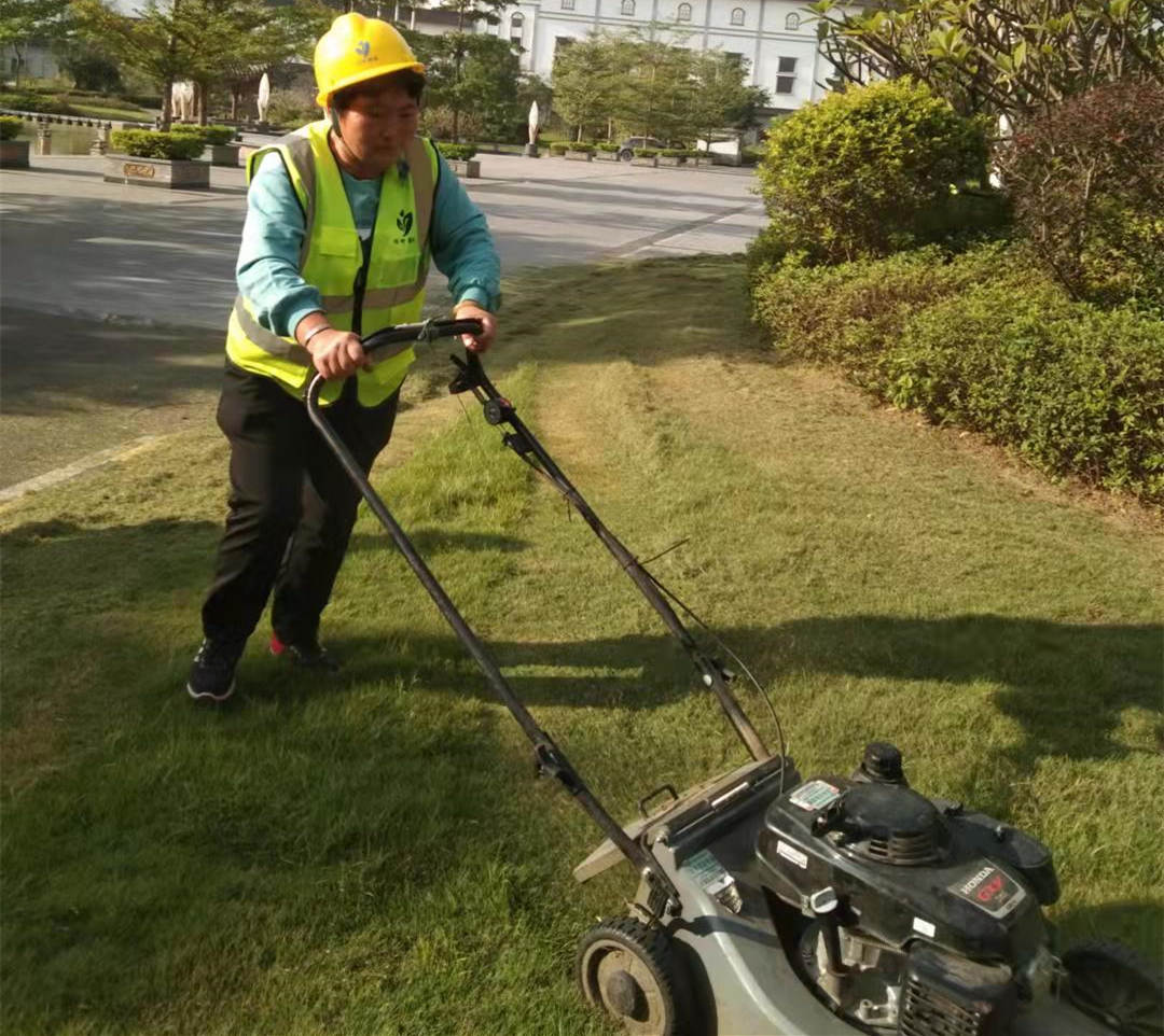 工厂园区绿化养护草坪治理