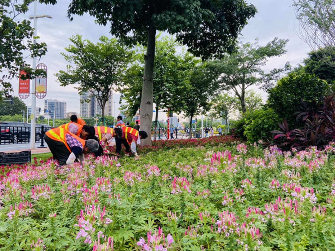 绿化养护工人正在作业中