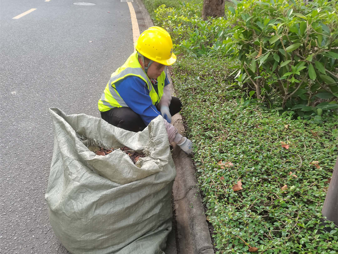 园林绿化养护整理垃圾