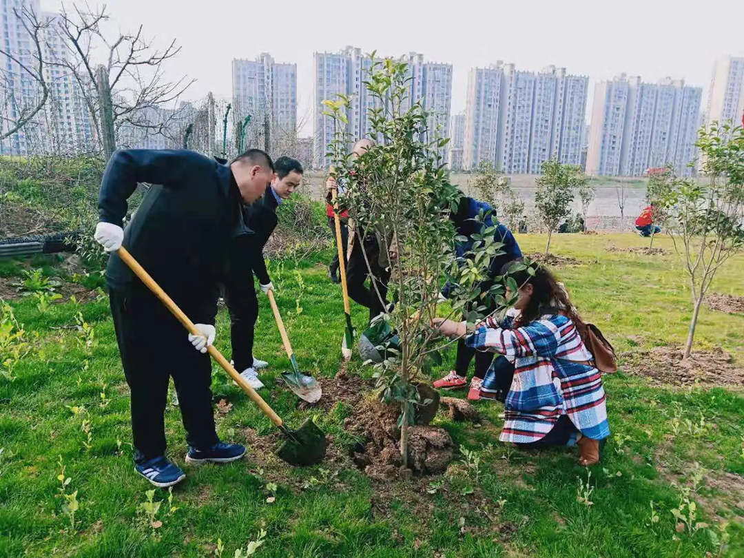 植树运动现场