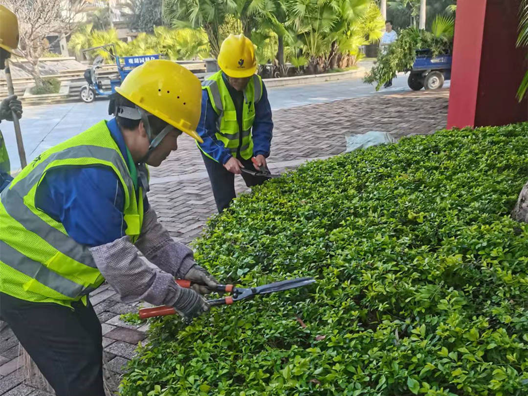 广东凯时娱乐绿化公司工人修剪灌丛