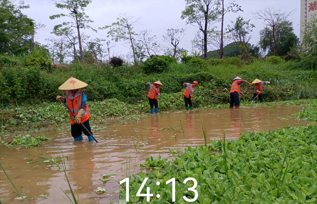 园林绿化养护防汛排涝