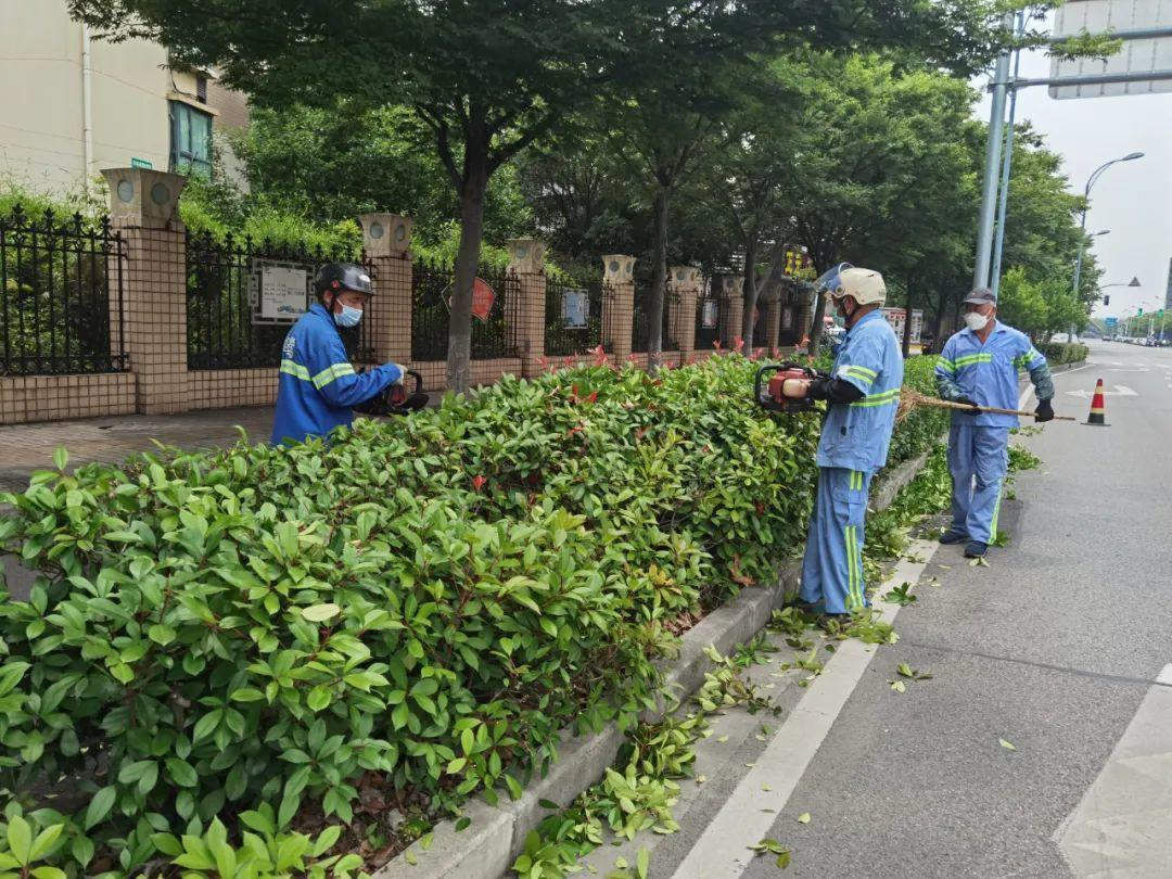 园林绿化养护工人正在修剪