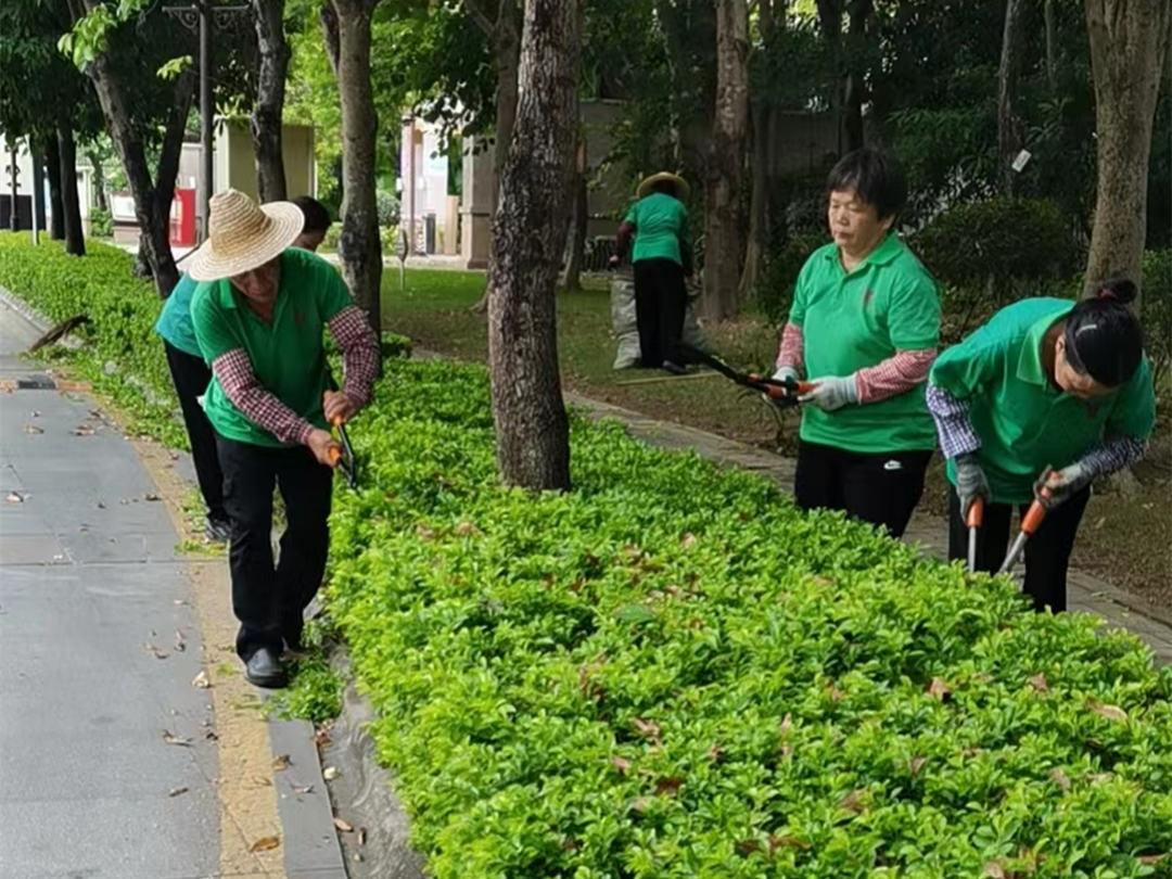 小区绿化养护修剪