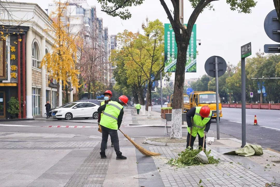 冬季园林绿化养护整理落叶