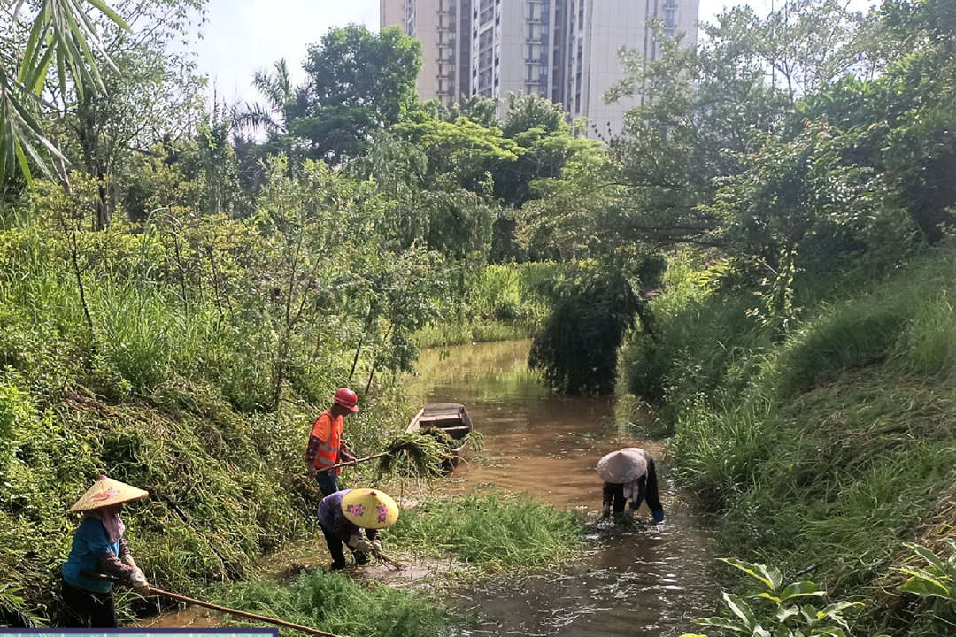 春季绿化养护整理杂草