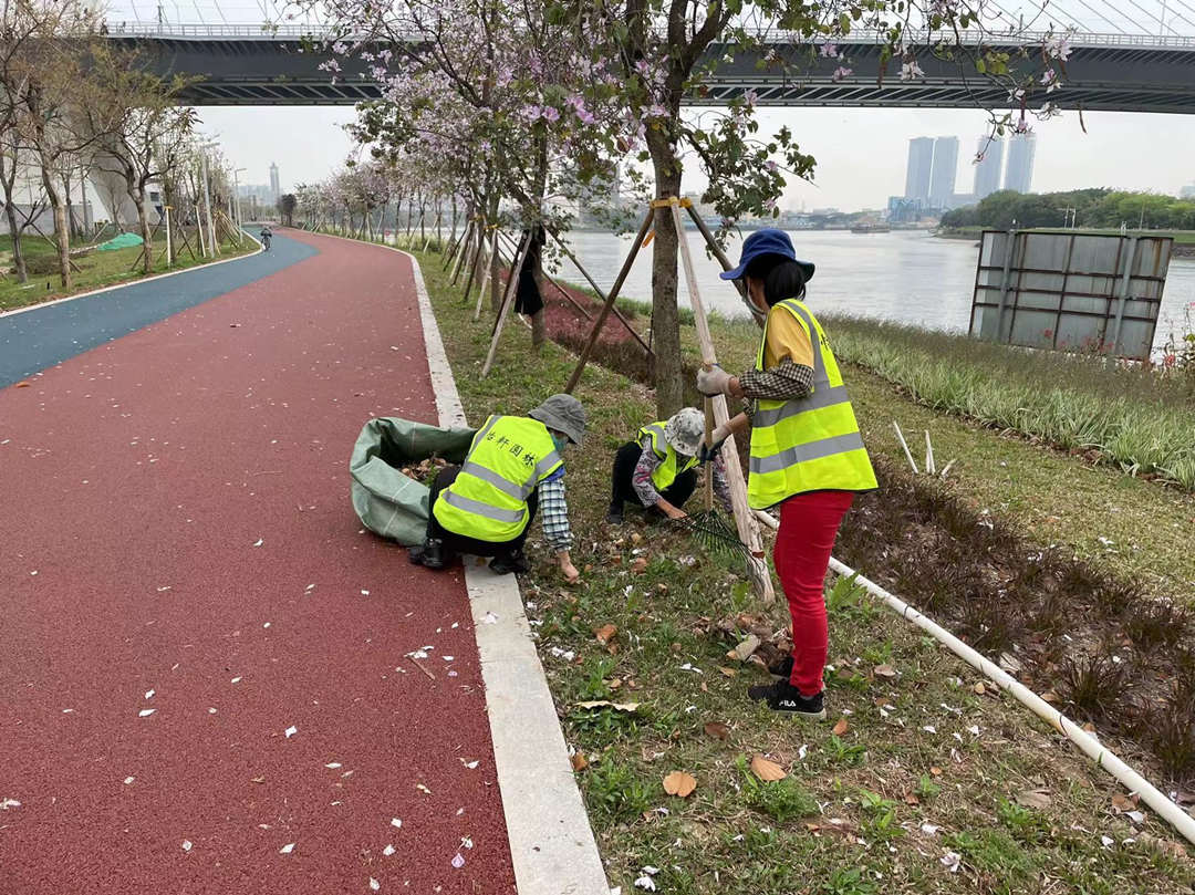 东平水道绿化养护整理垃圾