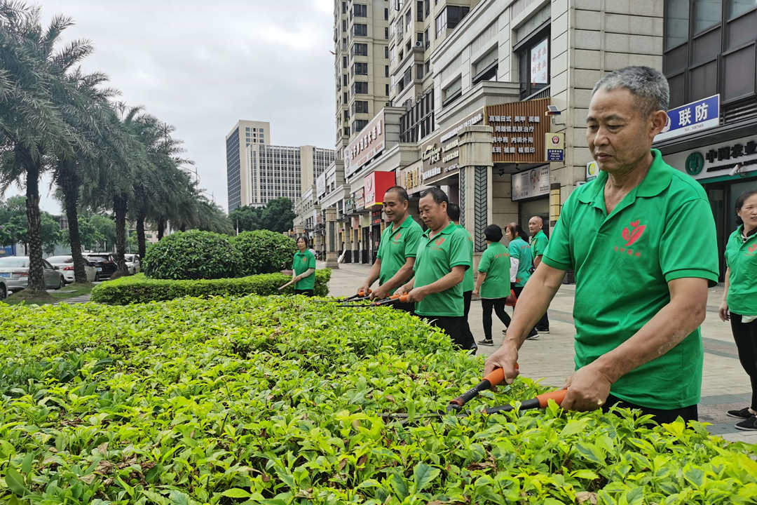 小区园林绿化养护修剪