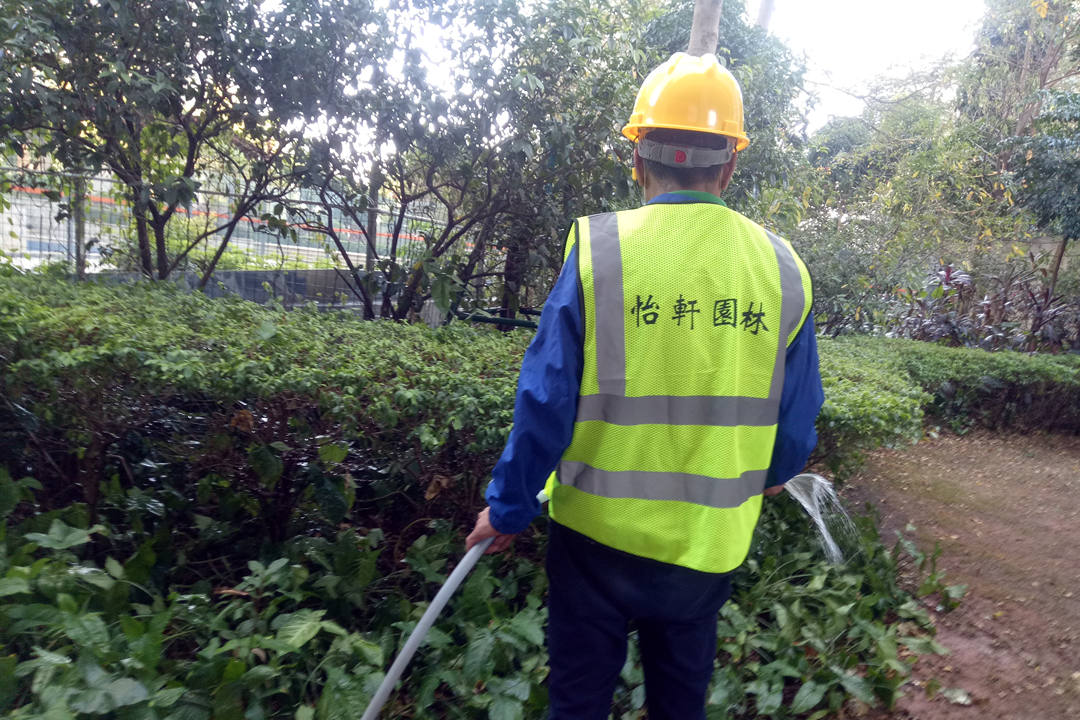 夏日绿化养护浇水