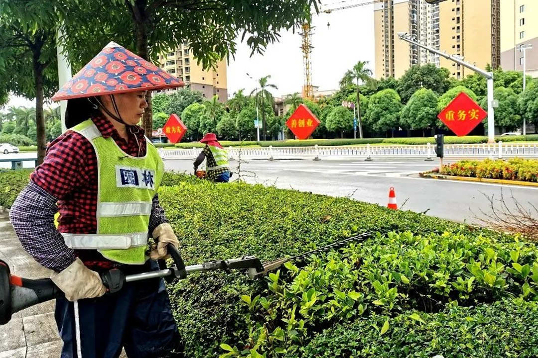 八月份园林绿化养护修剪