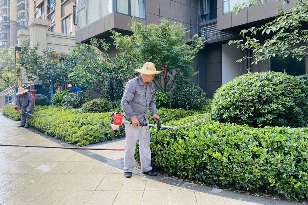 夏日小区绿化养护修剪