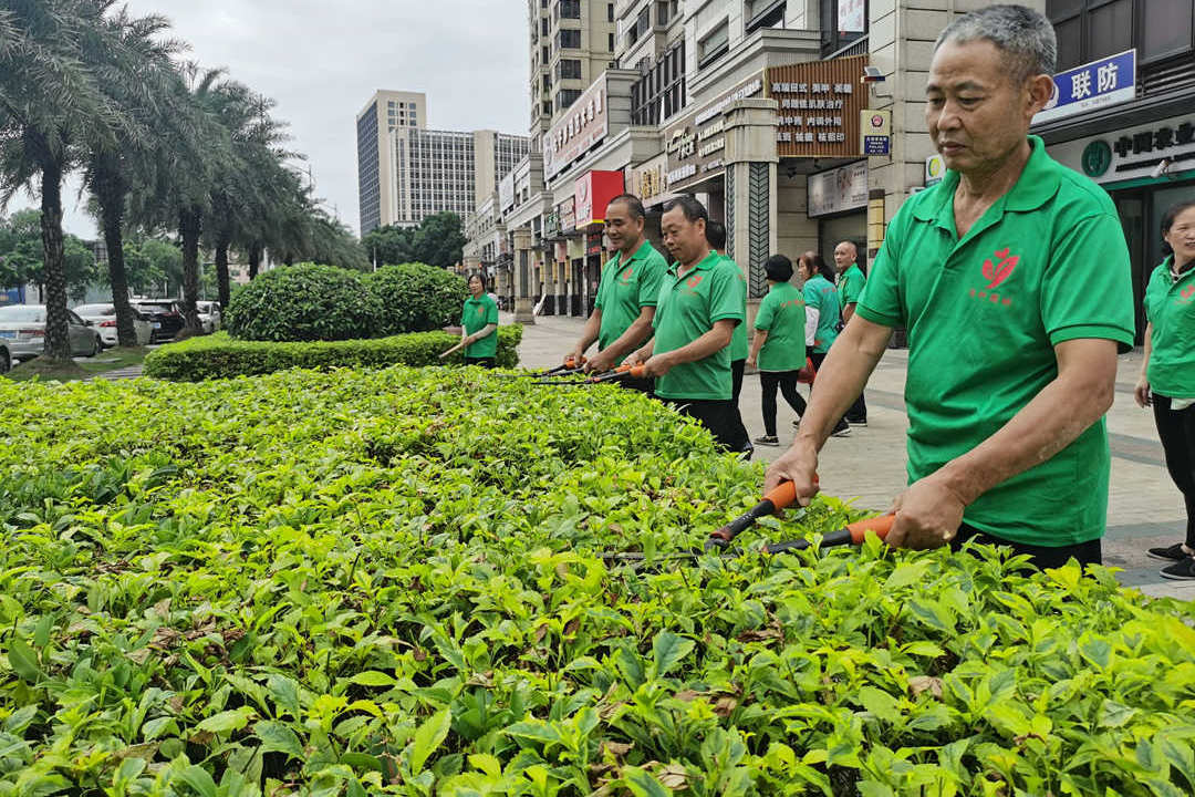 万达华府小区绿化养护修剪