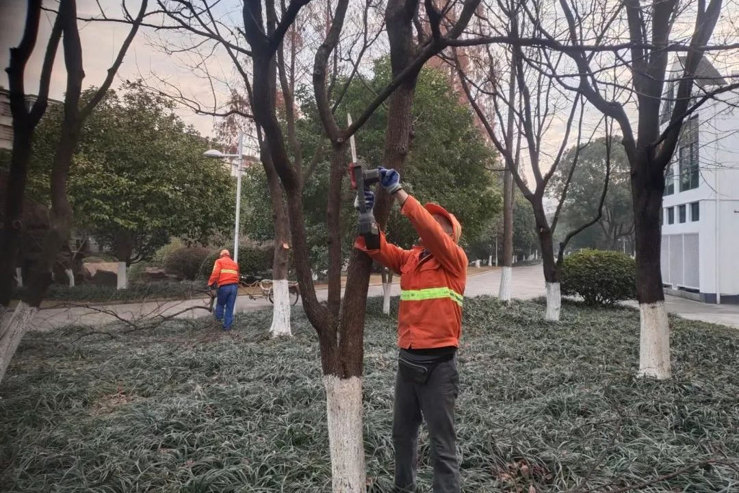 绿化养护修剪