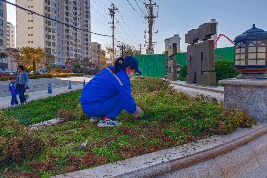 蹊径绿化养护